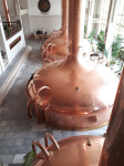 20180423_131103.jpg