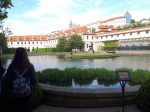 20180426_102734.jpg