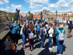 20180426_113734.jpg